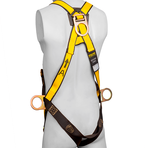 arnes 4 argollas estandar 2